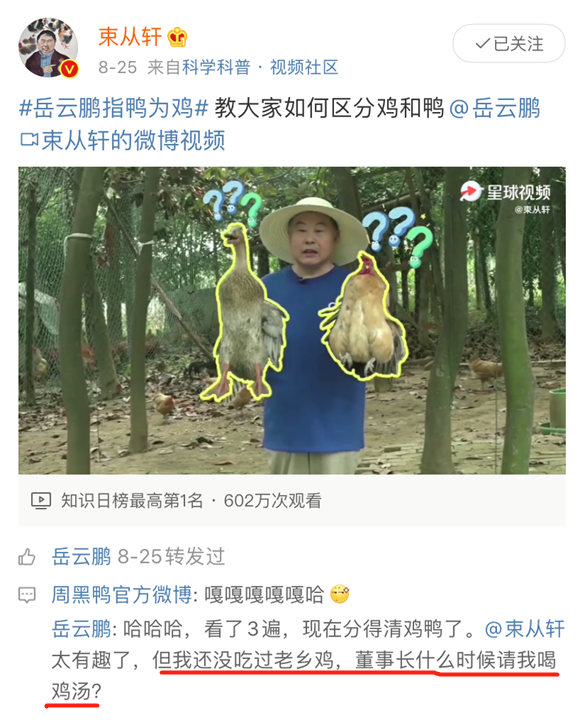 岳云鹏,代言老乡鸡了!