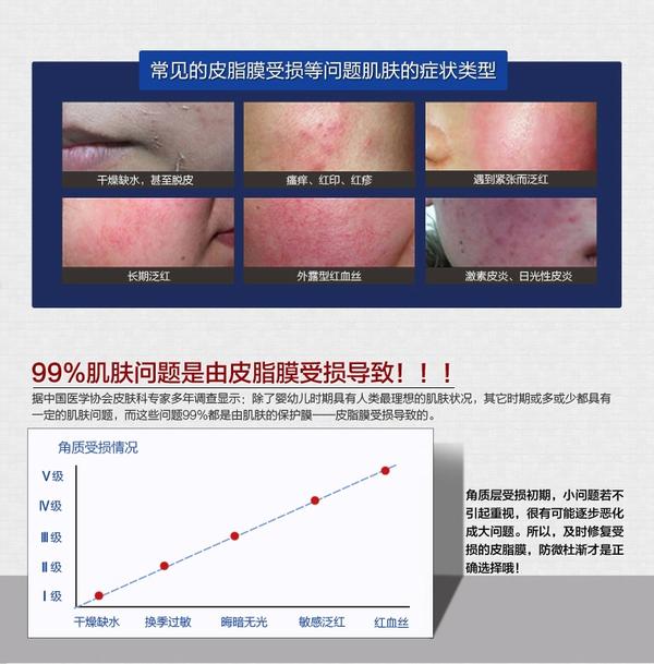 表皮层的分类