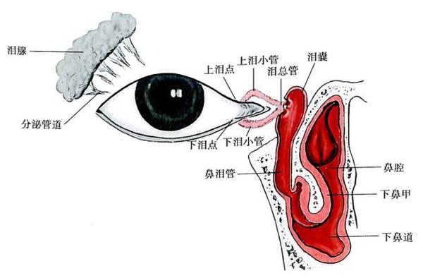 市医疗机构感染预防与控制督导组到我院开展督导工作