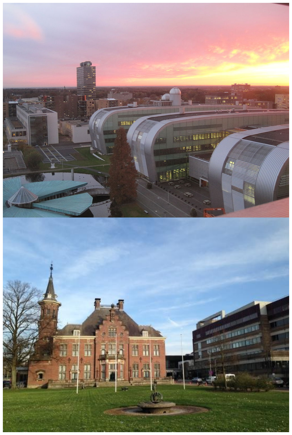 排名全球前50:鹿特丹伊拉斯姆斯大学排名第34,阿姆斯特丹自由大学