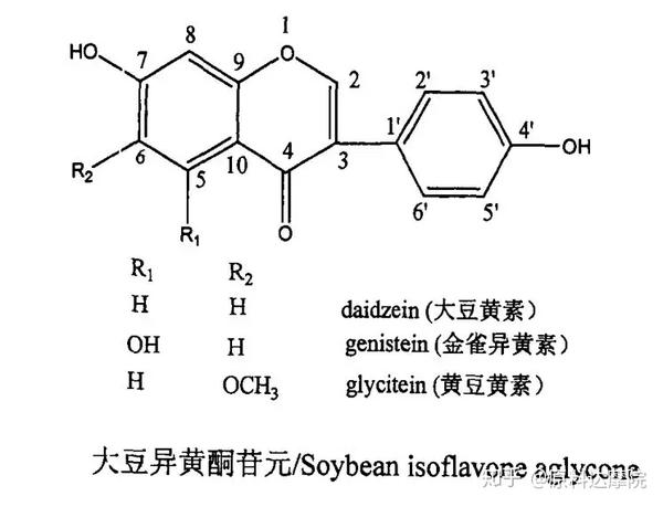 大豆异黄酮:这个天然的类雌性激素,到底厉害在哪里?