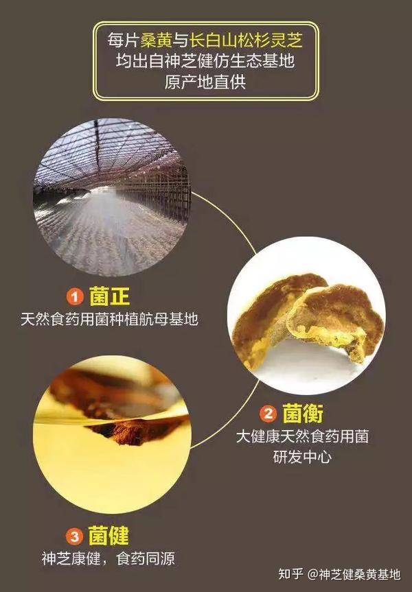 桑黄的人工栽培与应用研究进展[j].北方蚕业,2018,39(02):9-13.