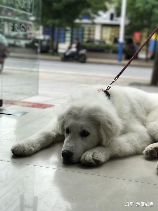 一累就耍赖!