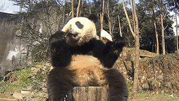 为什么当年没好好读书!——一个奔四老男人的独白