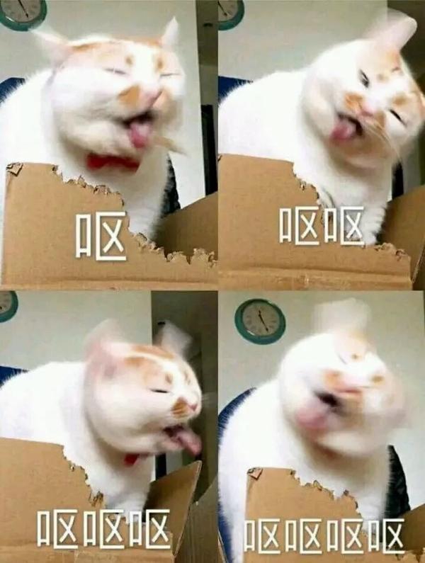 至于这个问题里的恶心,属于心理因素导致,人的主观意识可以反过来