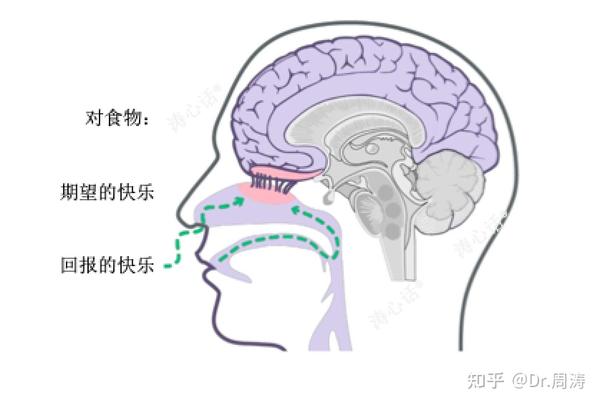 四川花椒麻嘴味觉触觉嗅觉和三叉神经四位一体