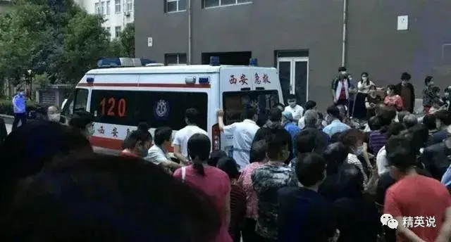 痛心全国多名学生跳楼自杀妈妈对不起为什么我干什么都不行