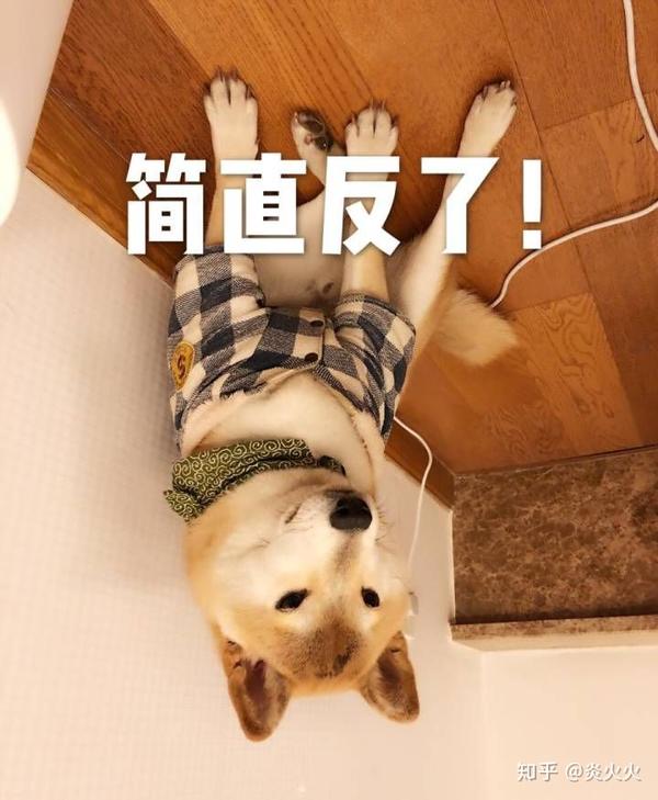 再献上几个自己比较喜欢的表情包,嘻嘻