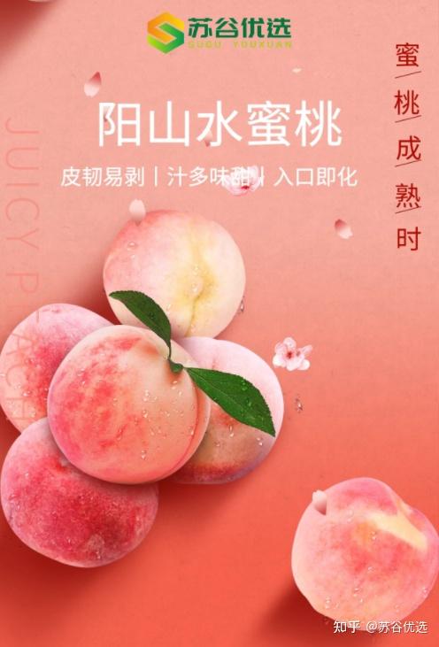 夏日断货王丨苏谷优选阳山水蜜桃新鲜上市
