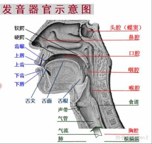 练习唱歌的顺序是什么