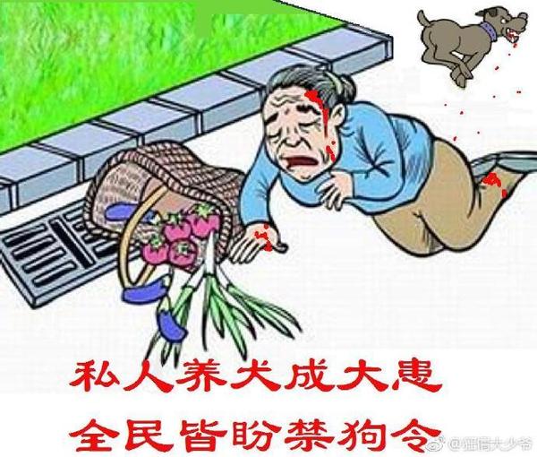 这张漫画即使光从绘画水平来讲,也远远超过爱狗人士.