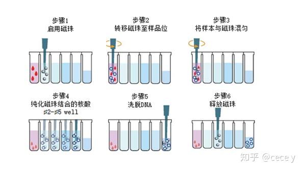 磁珠法核酸提取仪原理