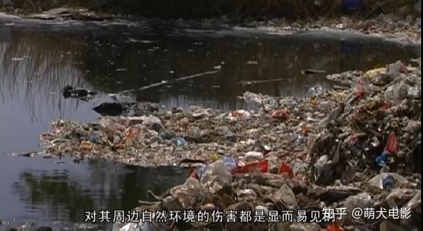 废弃的垃圾严重污染了水源. 水面上到处漂浮着垃圾,杂草丛生.