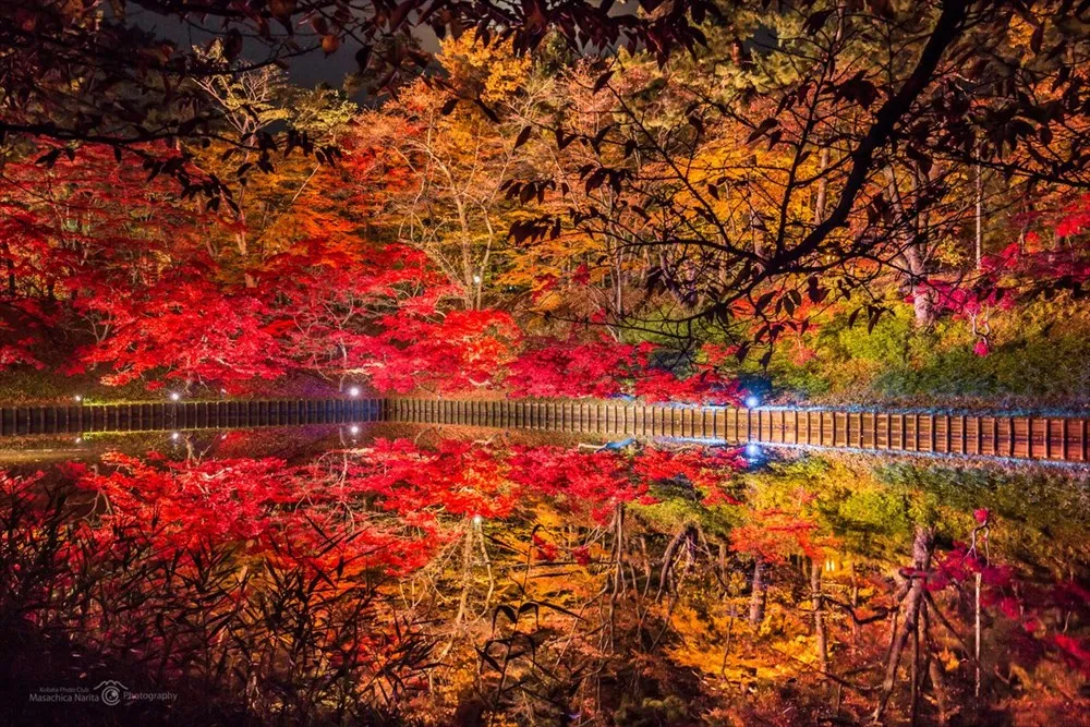 秋日红叶日本的这几个赏红叶的好地方不要错过