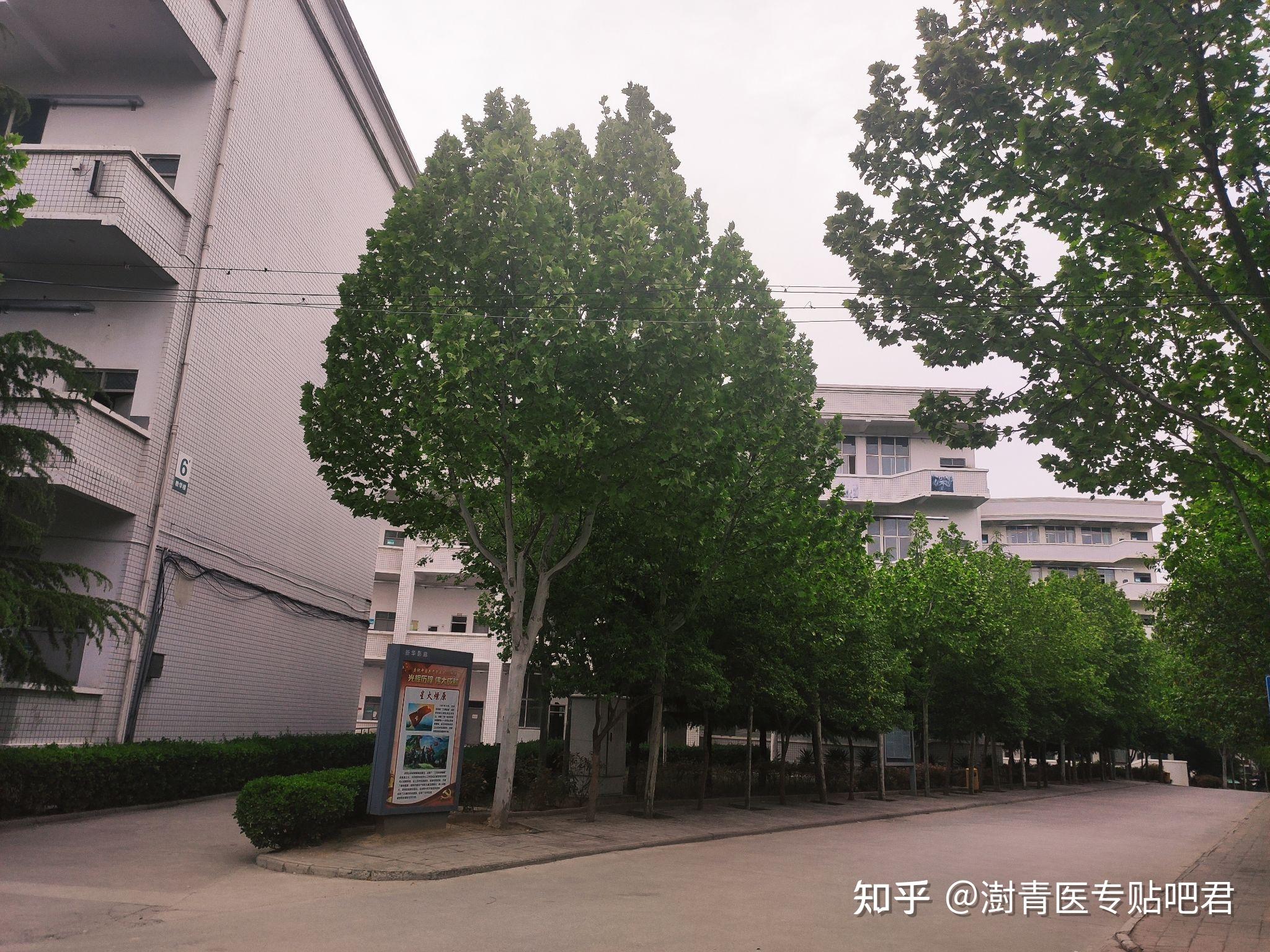 郑州澍青医学高等专科学校2021级新生咨询帖