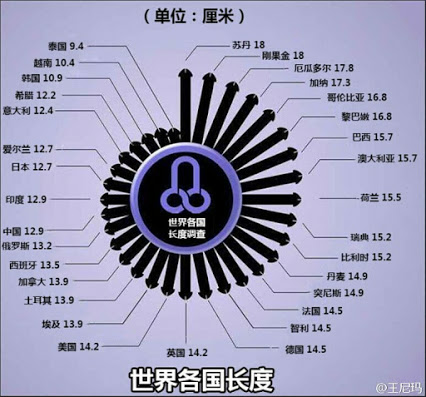 问: 亚洲男性阳物的尺寸平均是多少?