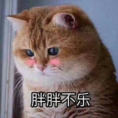 你见过最暖心的表情包是什么?