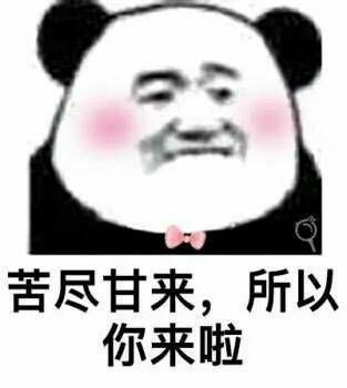 有哪些可以哄女朋友的表情包?