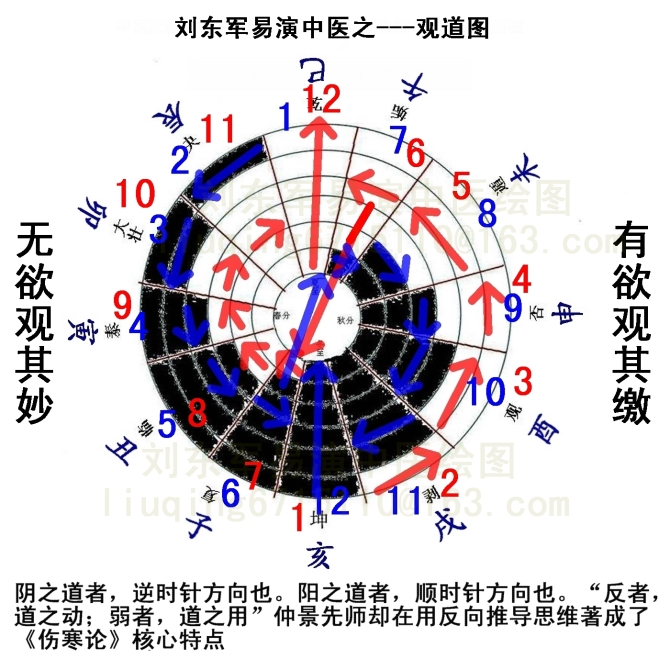 怎样看待易演伤寒论这本书