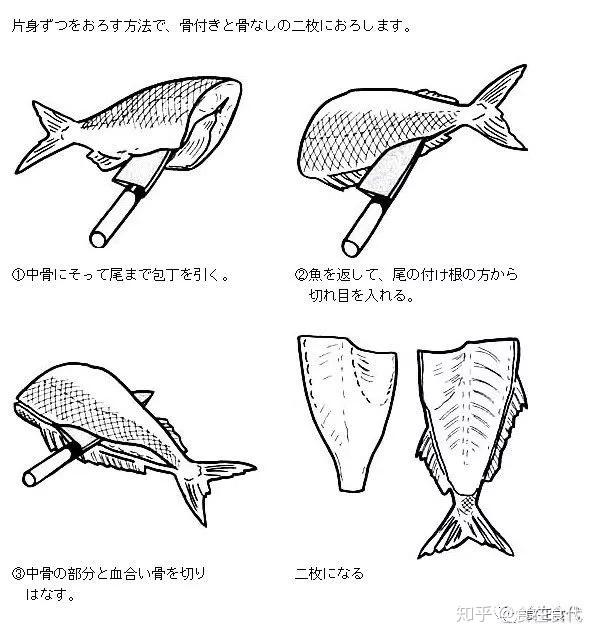 01二枚切1,首先把鱼头,内脏,鱼鳞等去掉后冲洗干净2,先把头切下来3,用