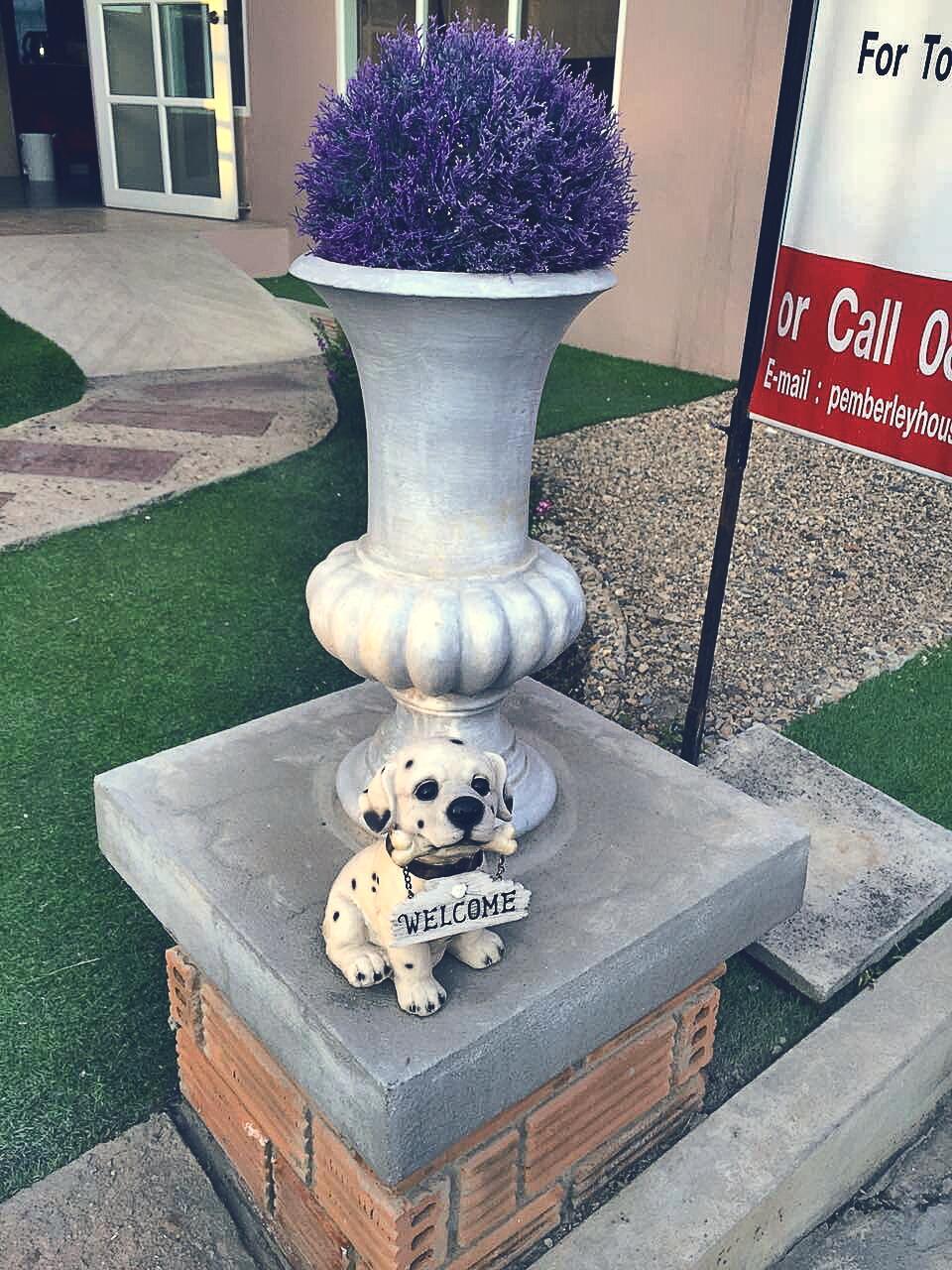 清迈有什么比较好玩的地方吗? - 旅游推荐 - 知