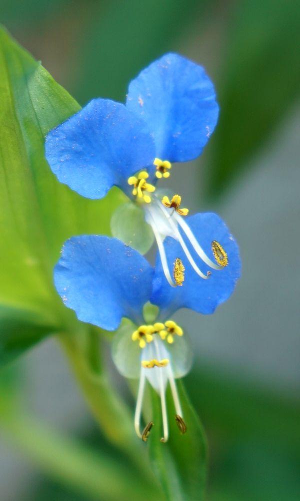 花名册露水时光以及失去爱人的泪