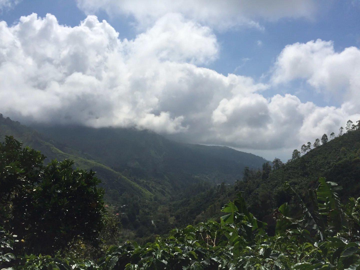 参加IVHQ项目是怎样的体验? - 国际义工 - 知乎