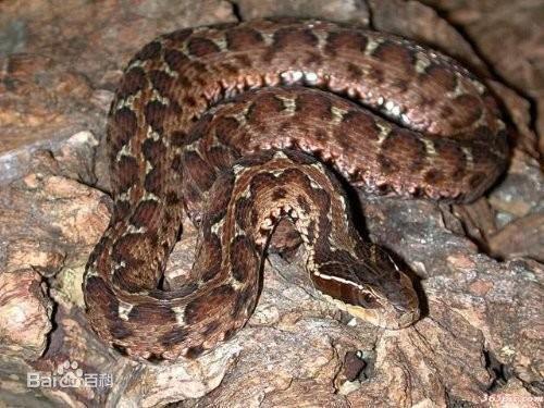 作为一个作死小能手是怎样的体验? - 易水寒江