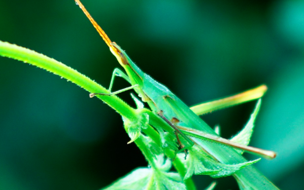 挑食中 你喜欢吃什么奇怪的东西? - 椋微的回答