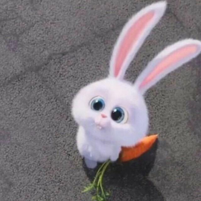 微博兔影视 0ce1e6771d6de5d8e5ab0cd89220a955_r.jpg