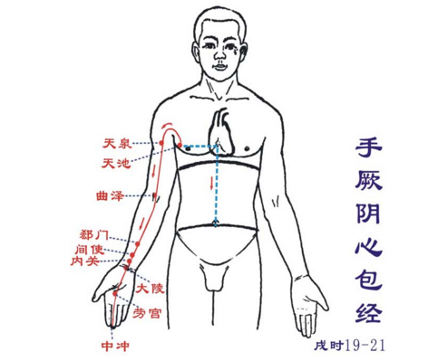 瘦胳膊去 拜拜肉 试试疏通胳膊的经络 知乎