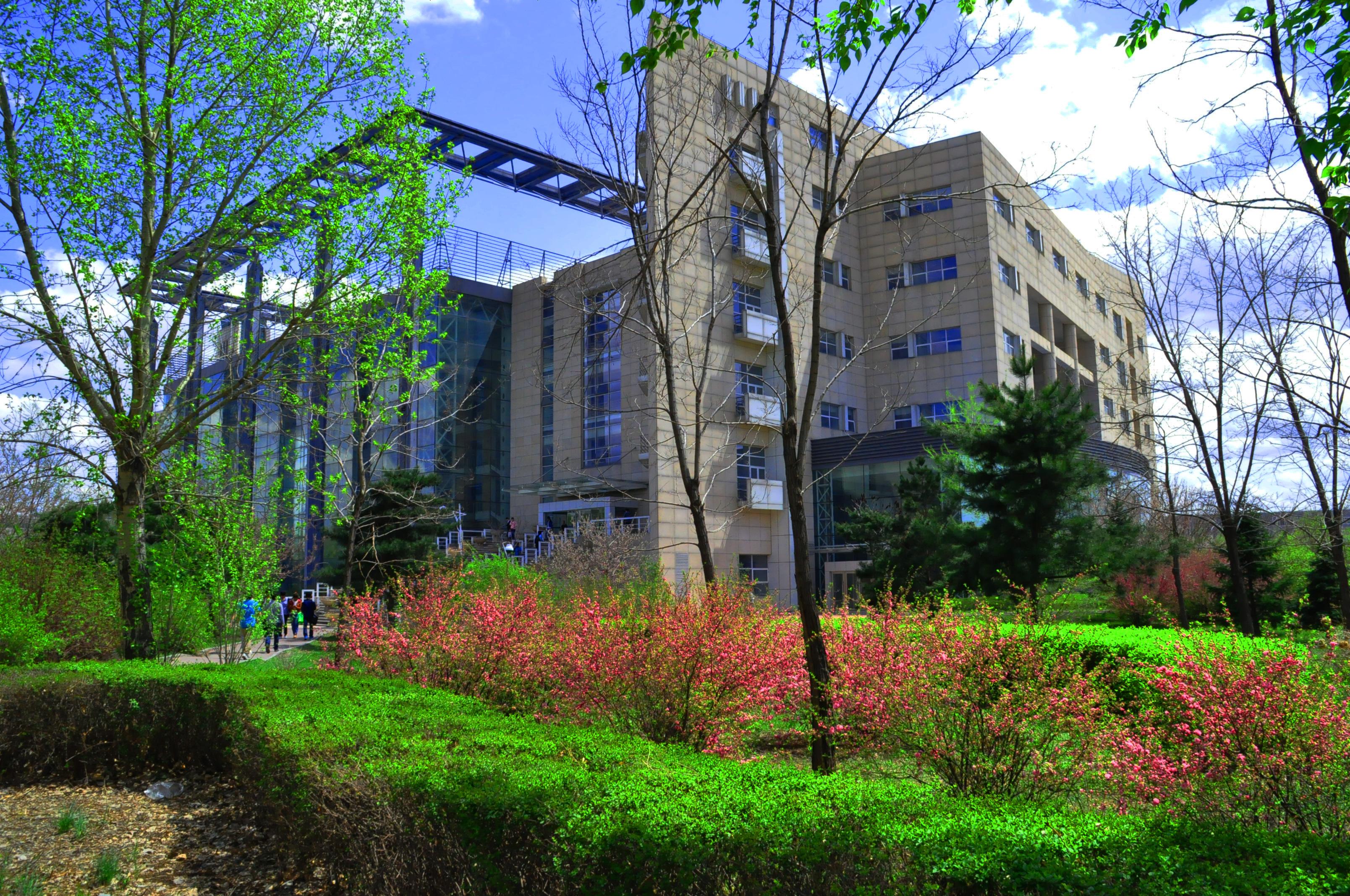 吉林大学最美校区图片