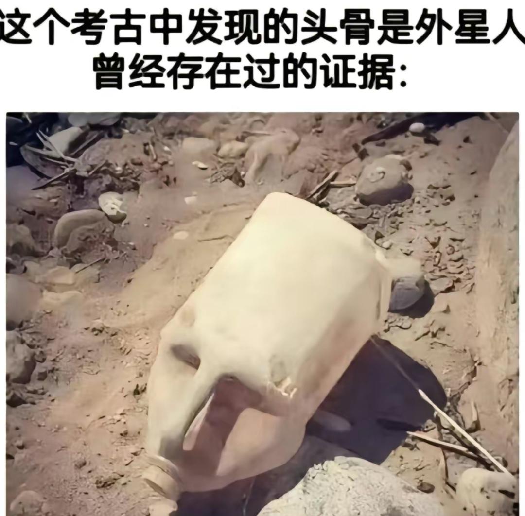 豆包豆满满 的想法: 来开心一下!