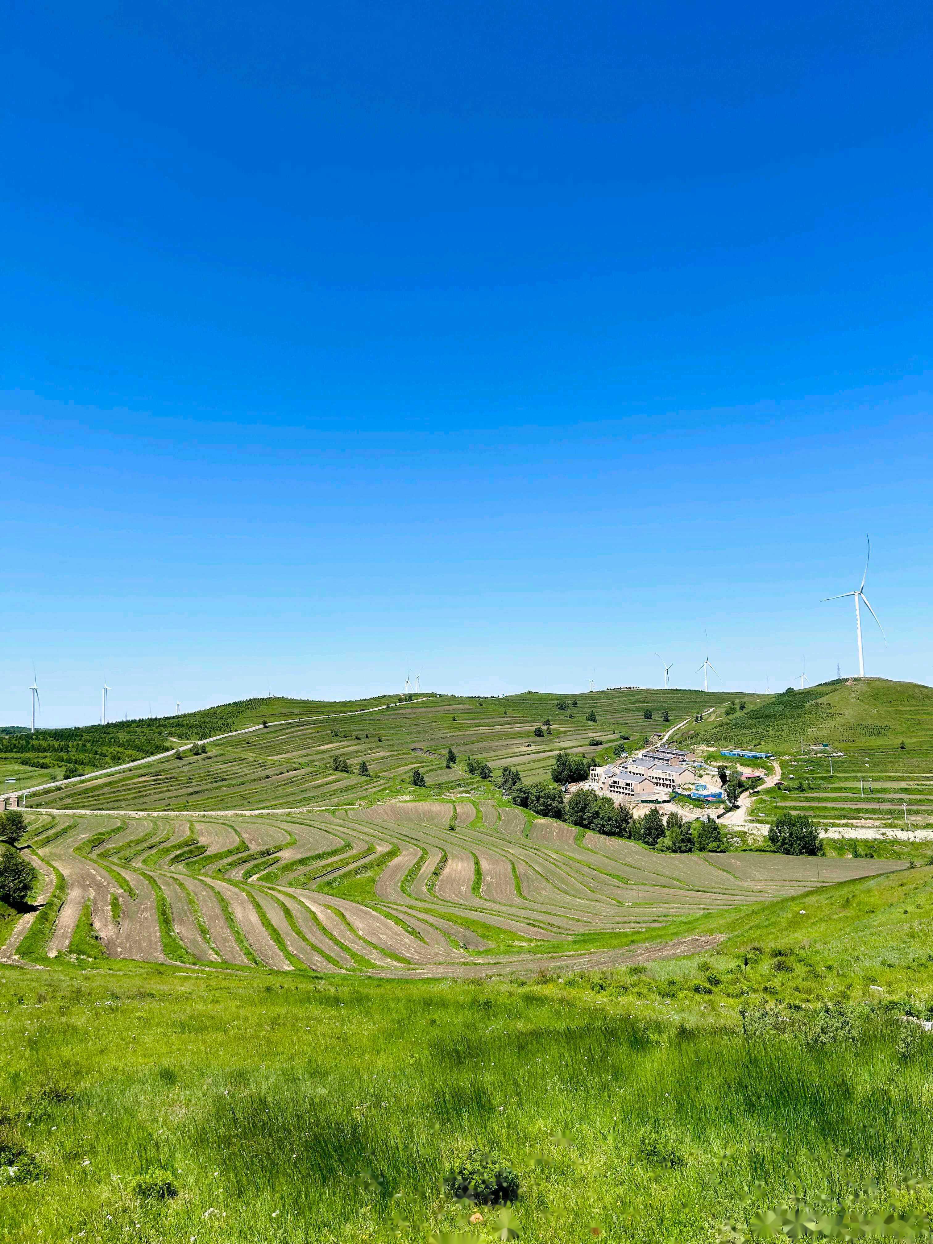 绝美避暑旅游地 上一次去张北草原天路哦,不对,其实是去张北中都