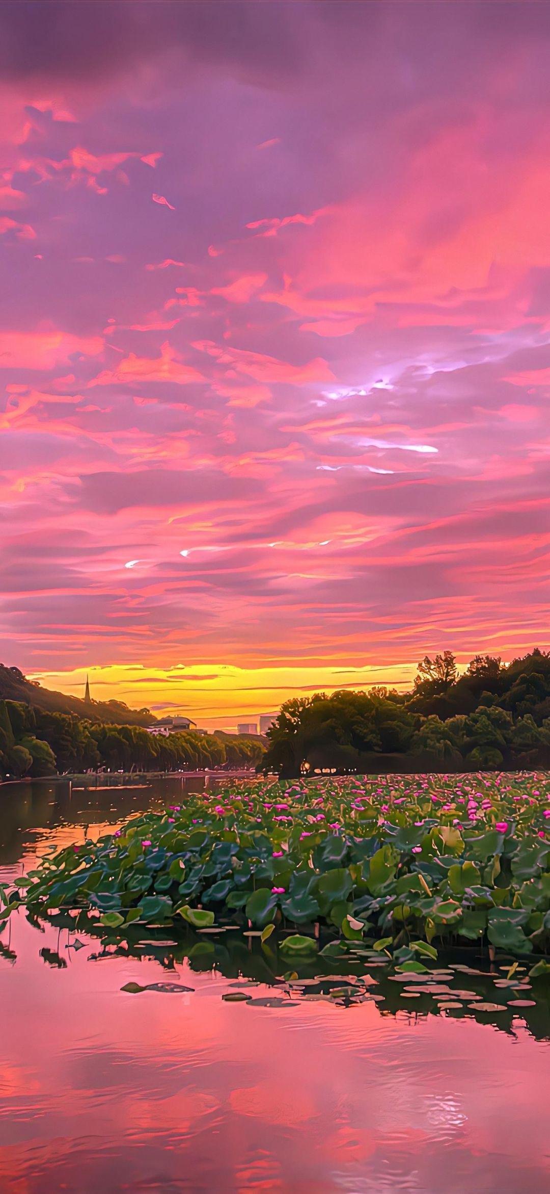 呵呵哒 的想法: 夕阳无限好,只是近黄昏