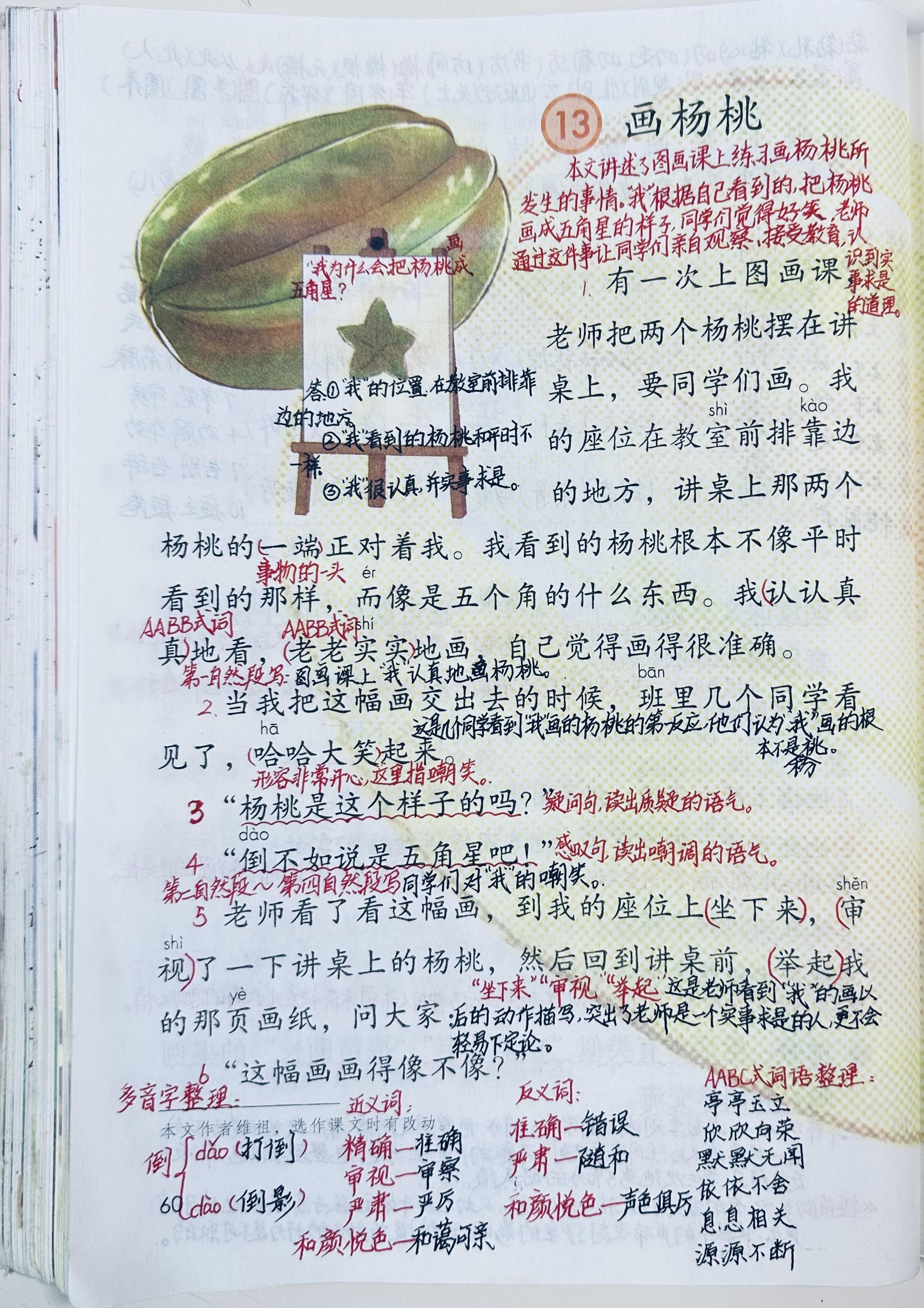 墨弦读书 的想法: 二下语文:第13课《画杨桃》课堂笔记