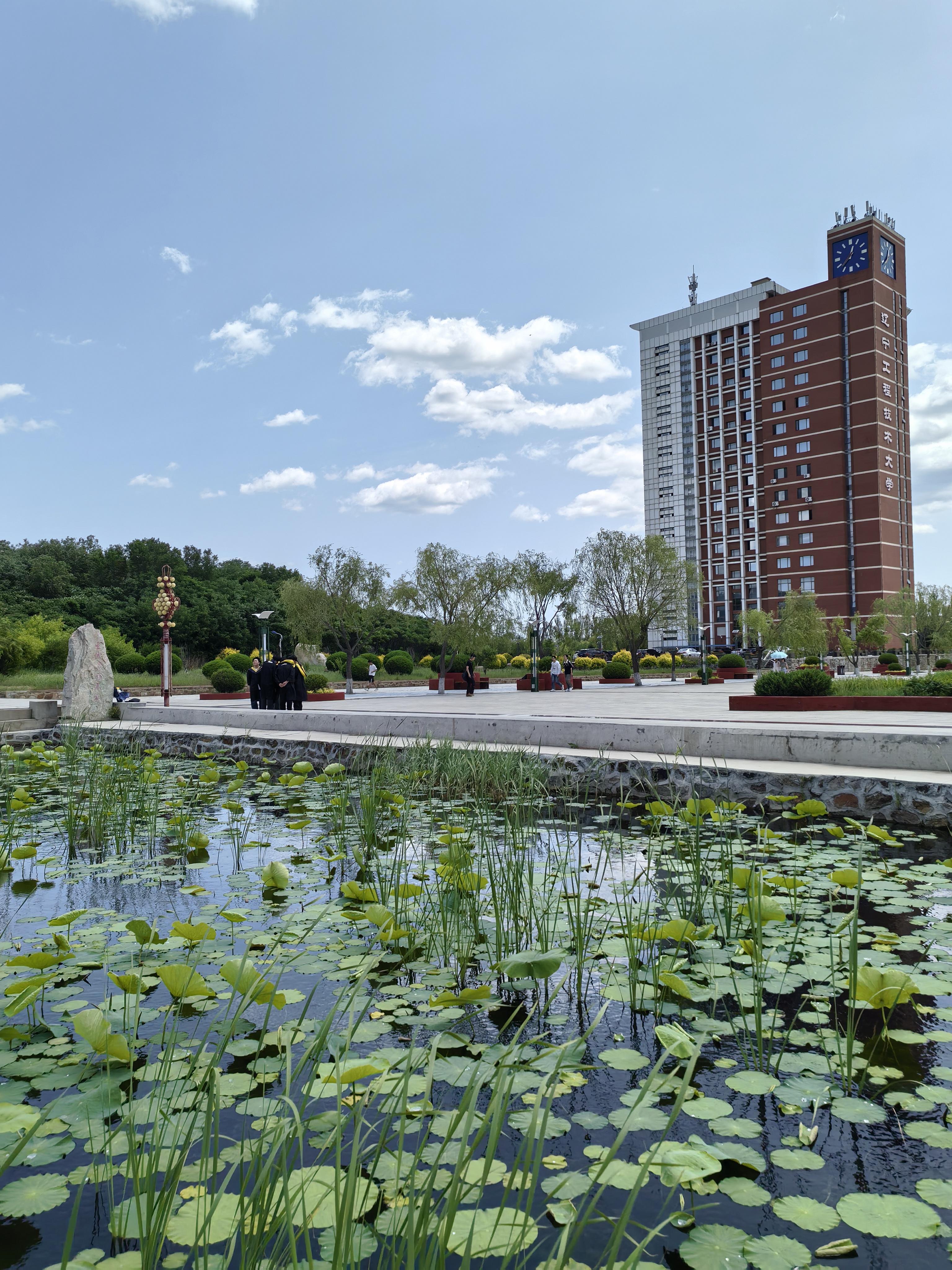 水调歌头辽宁工程技术大学荷花池畔荷花池畔立六月初夏时红墙映水绿叶