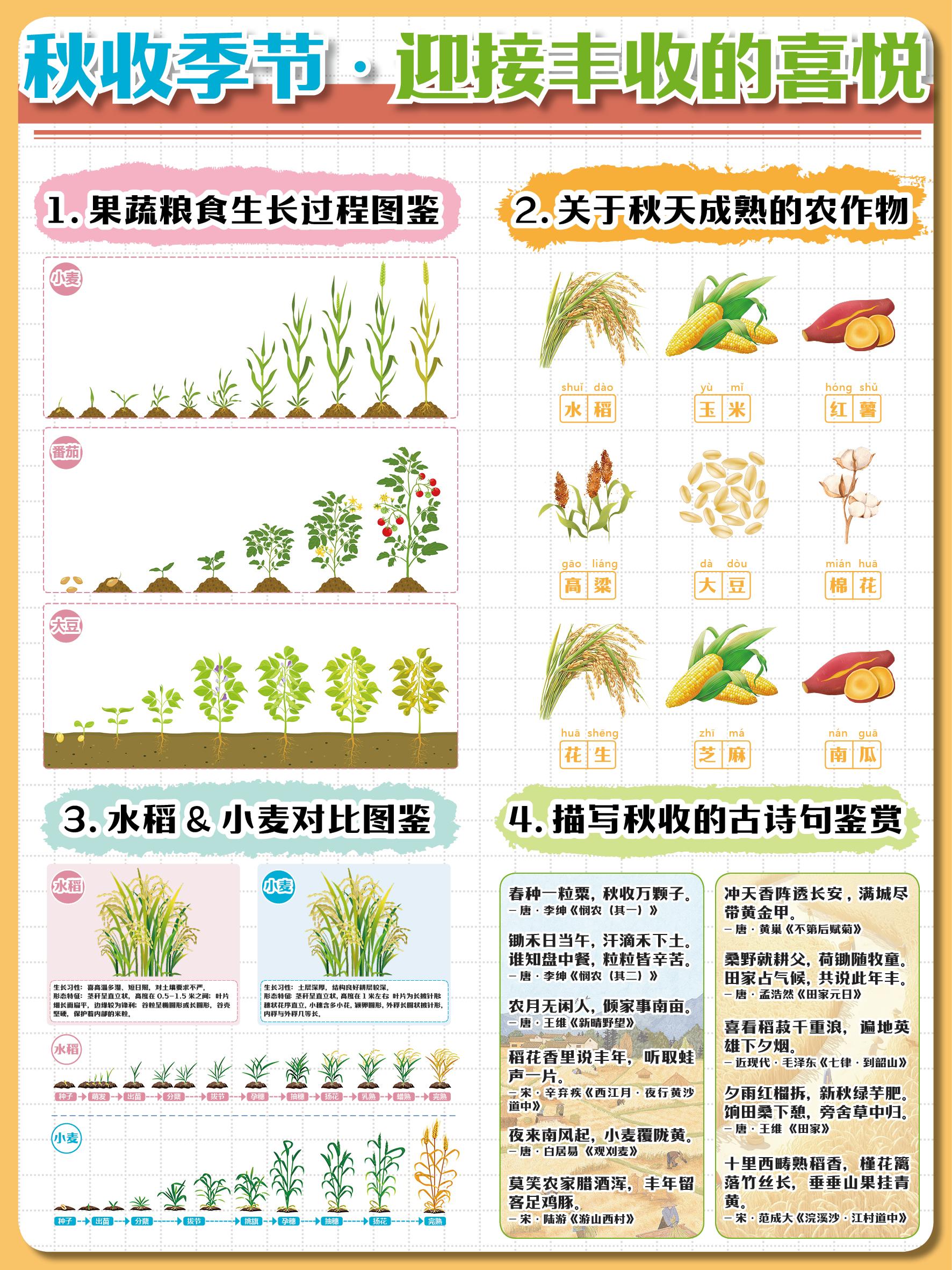 粒粒皆辛苦让孩子了解丰收背后的故事秋天是收获的季节所谓春种一粒粟