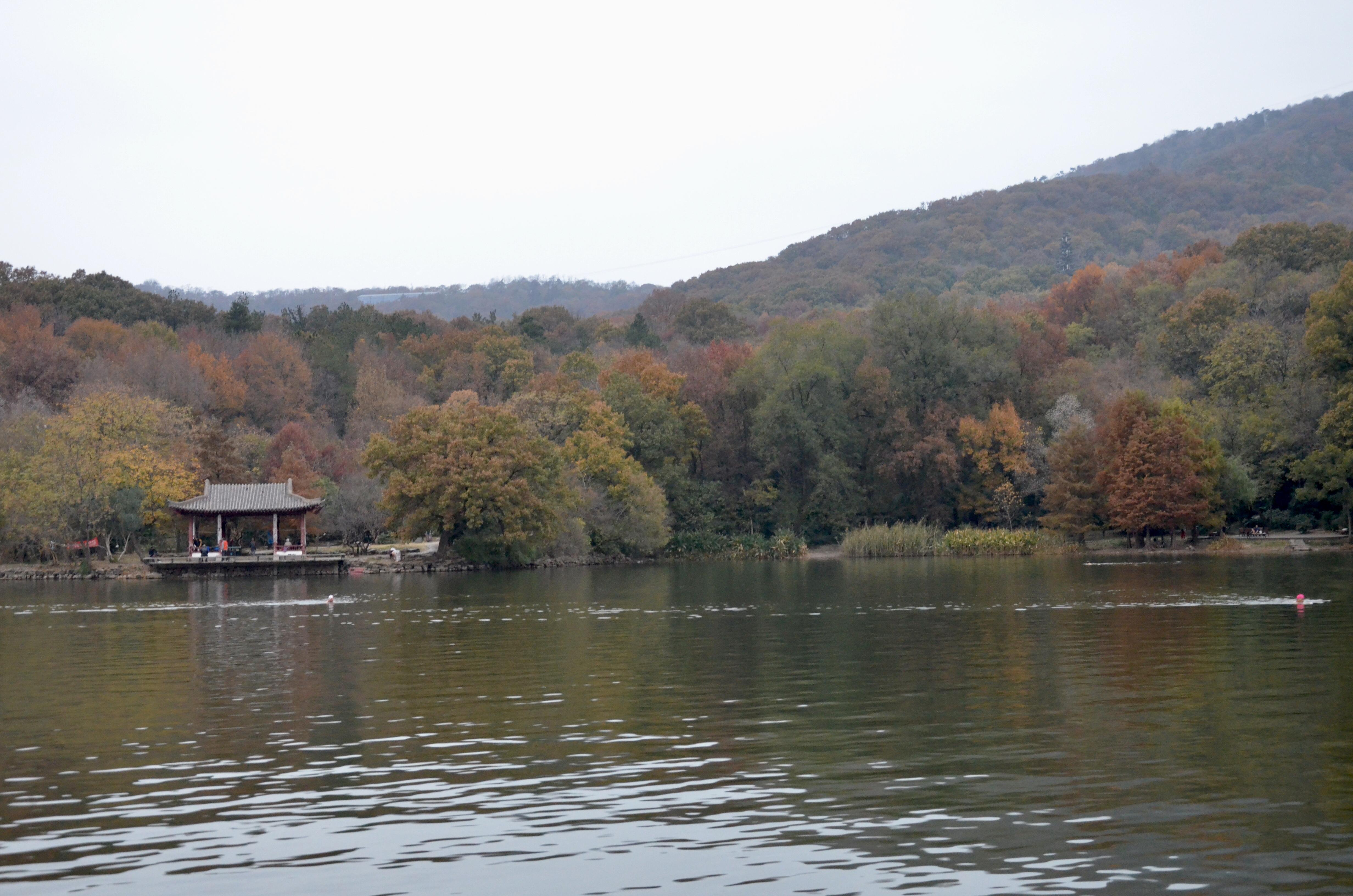 南之南 的想法: 冬日早晨的紫霞湖 | 98地点:南京紫金山 br>74
