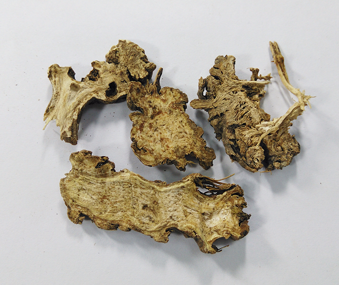 职场老生 的想法: 中药藁本 | 【藁本】 br>【别名】 br>藁茏,鬼卿,地