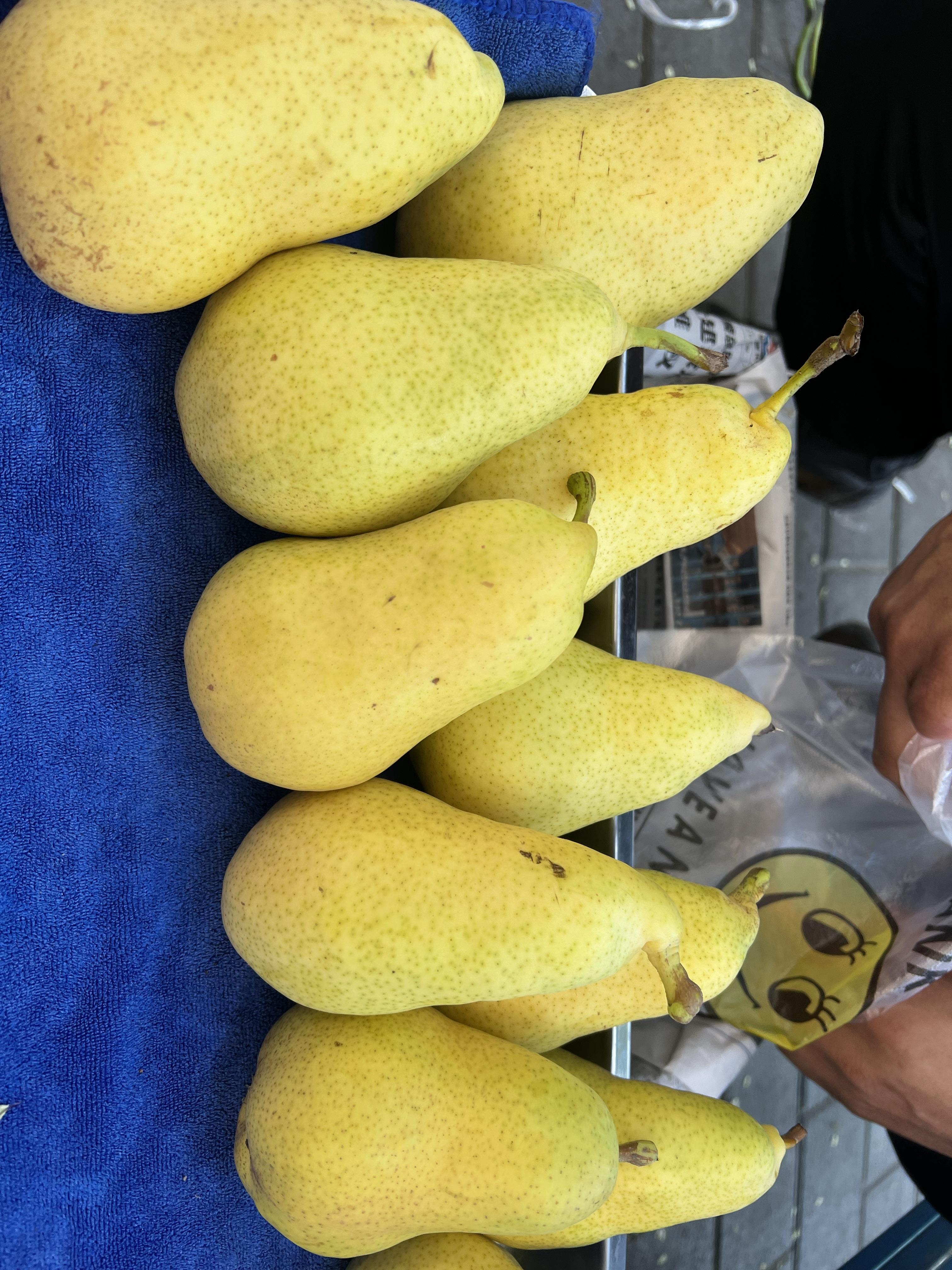 雁翎蓝 的想法: 兰州特产巴梨:软糯香甜