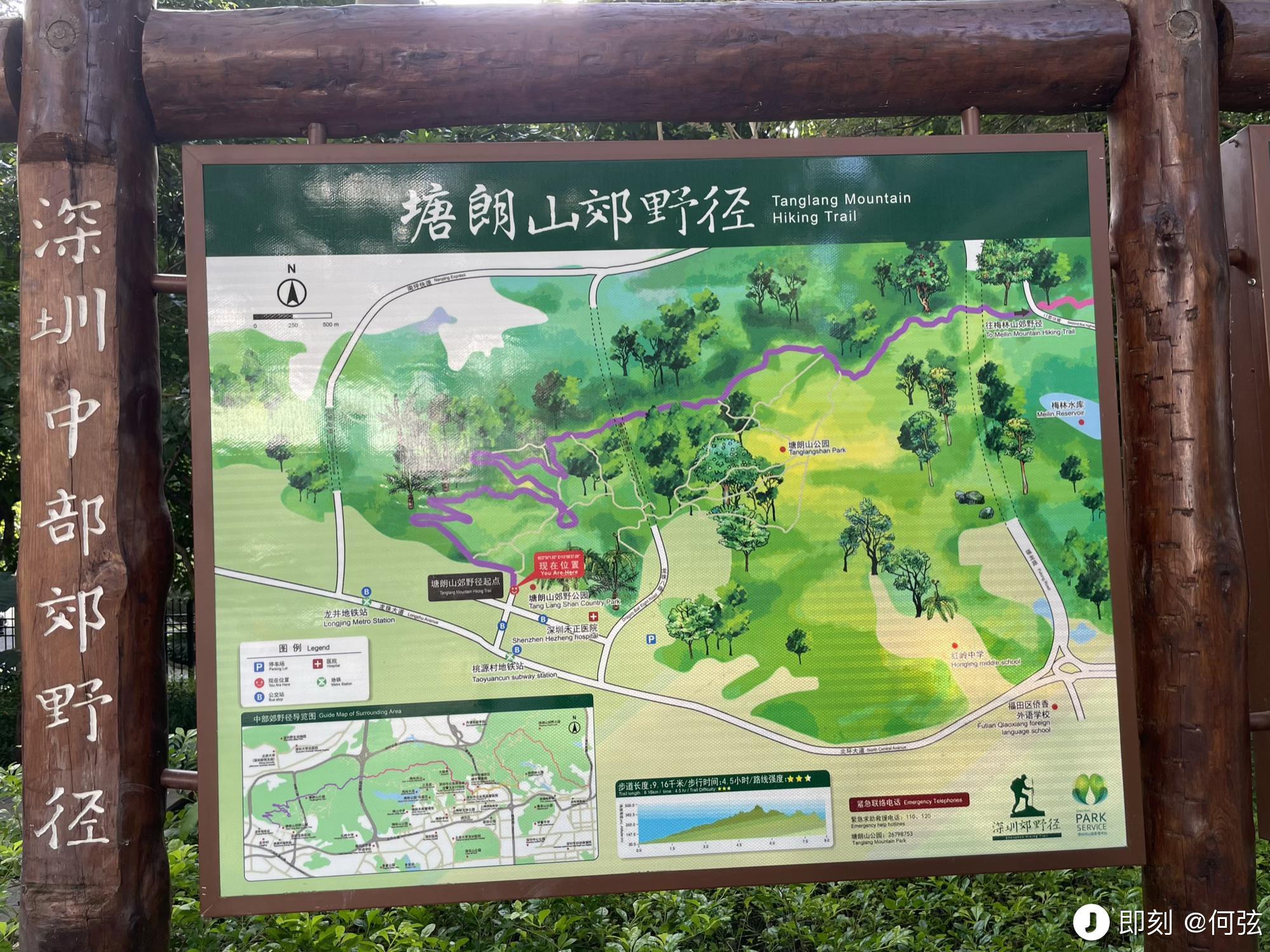 何弦很闲 的想法: 来自深圳自然的治愈:大沙河生态长廊:休息日的
