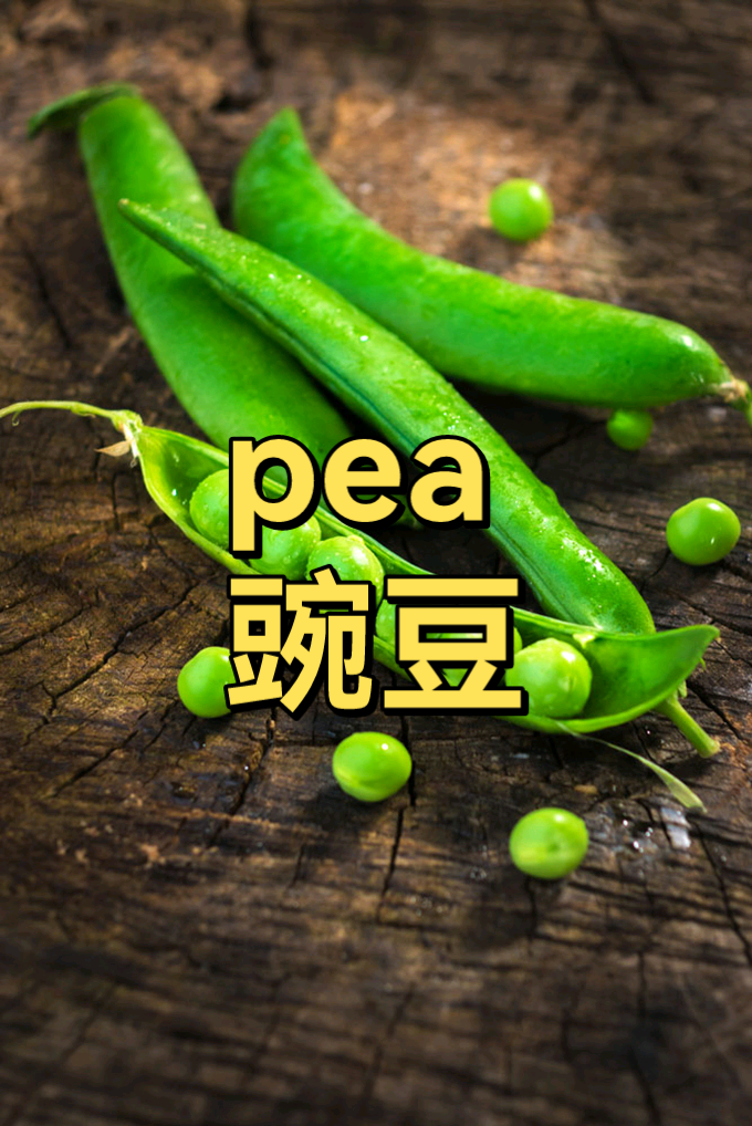 单词:pea /piː /词义:豌豆