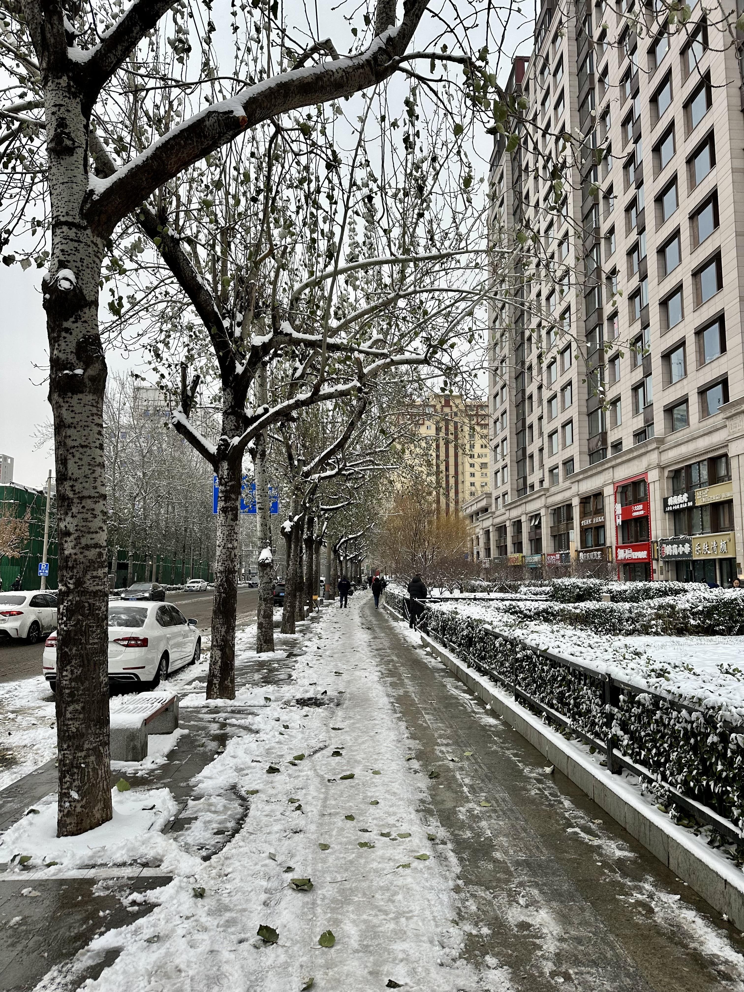 智远同学 的想法  朝阳早上下雪了