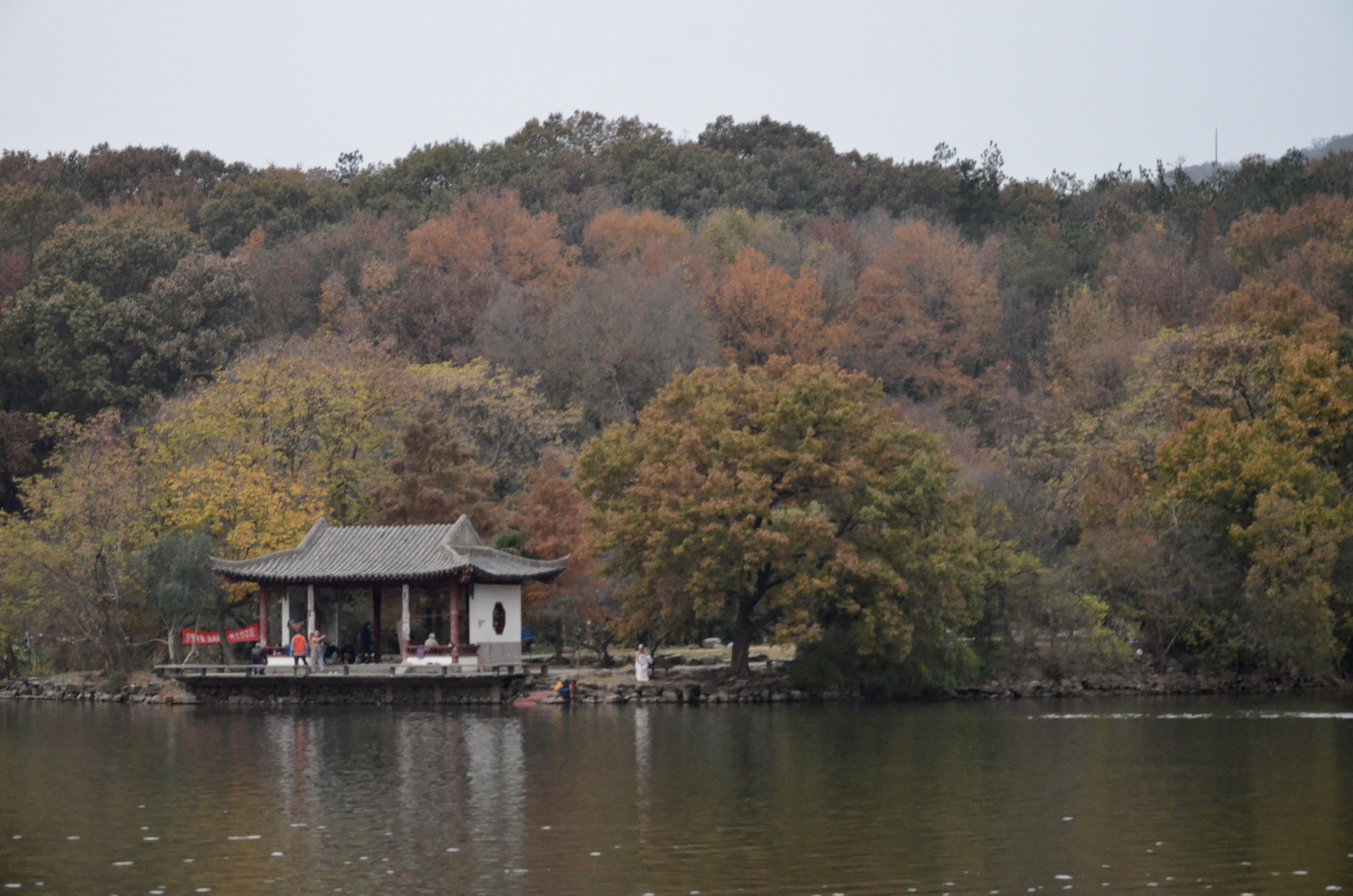 南之南 的想法: 冬日早晨的紫霞湖 | 98地点:南京紫金山 br>74