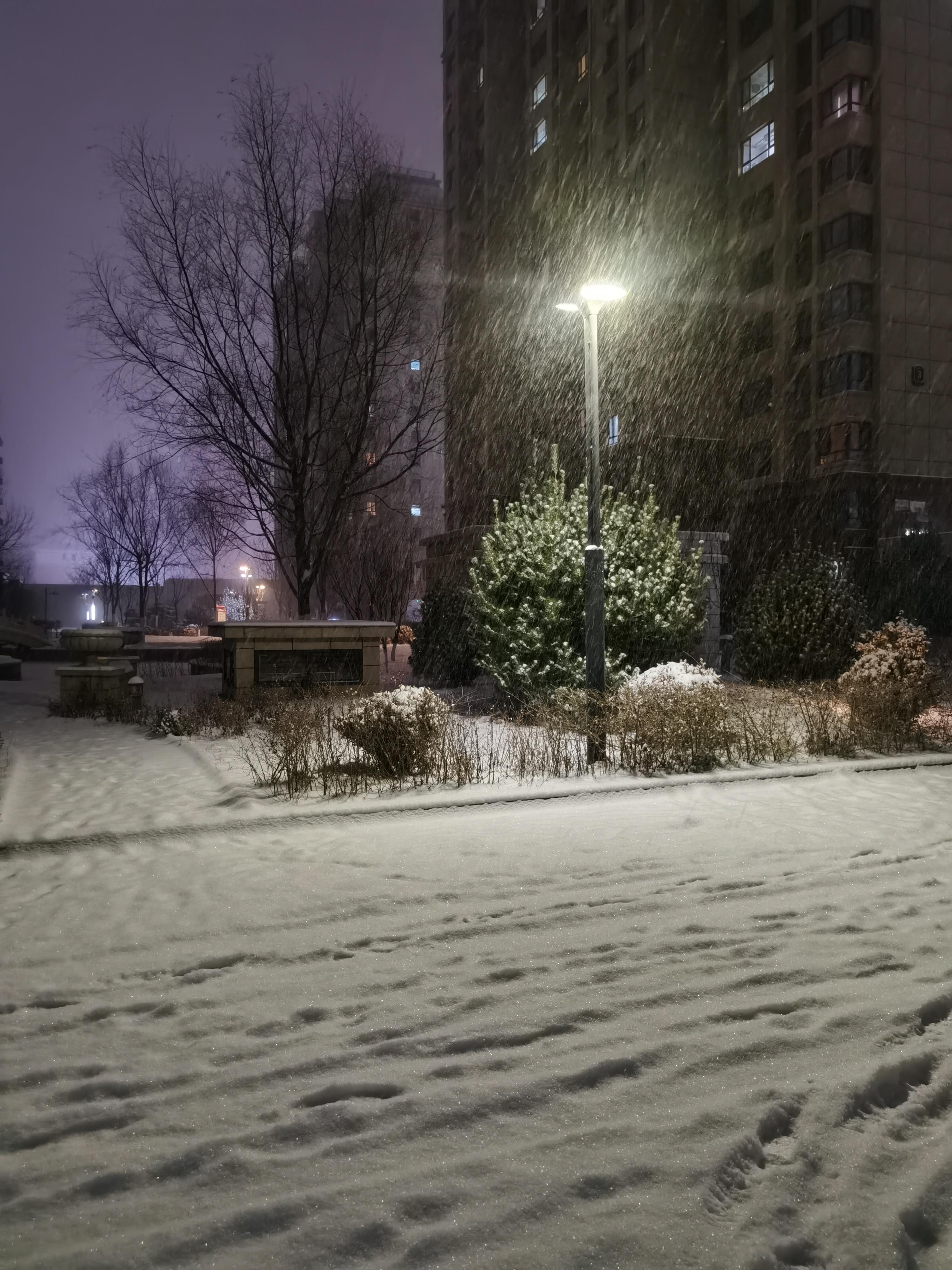 真实下雪照片唯美图片