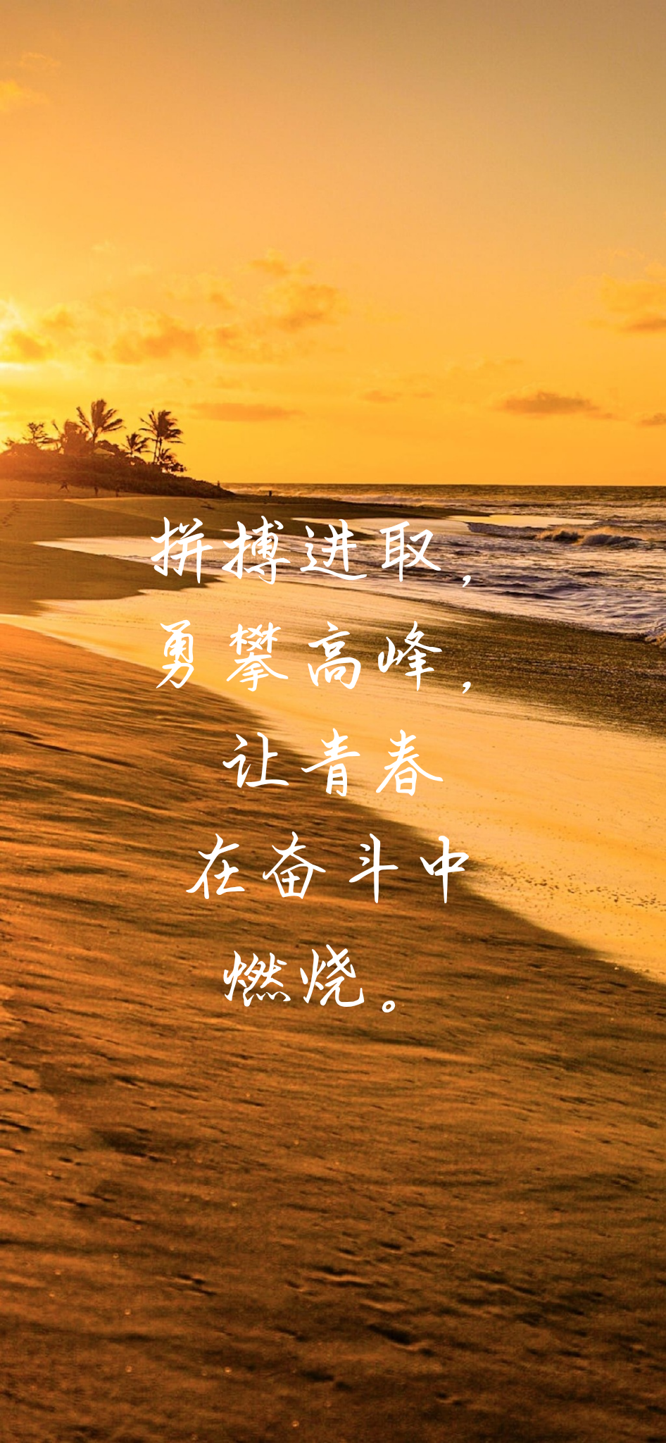 吃橙子的橙子 的想法: 努力呀