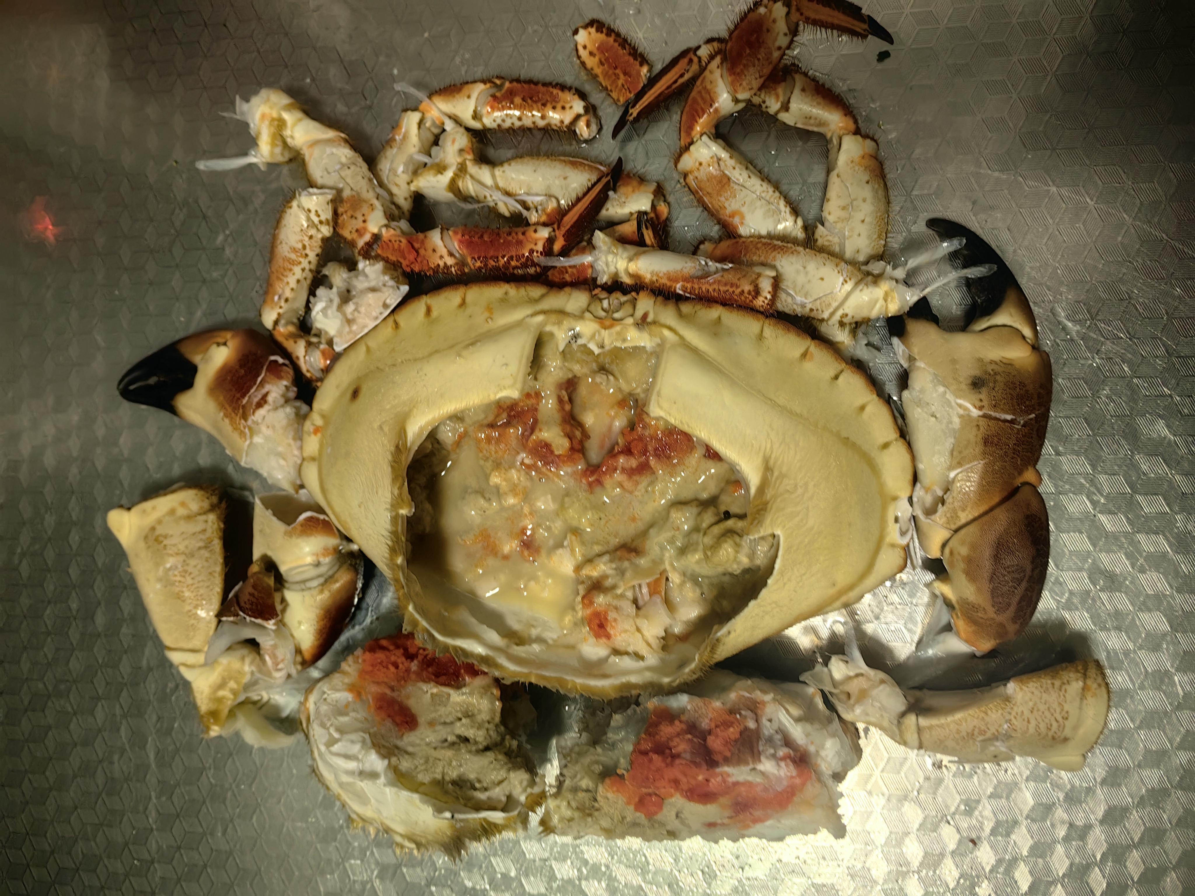 放青松 的想法: 爱吃螃蟹的人们看过来