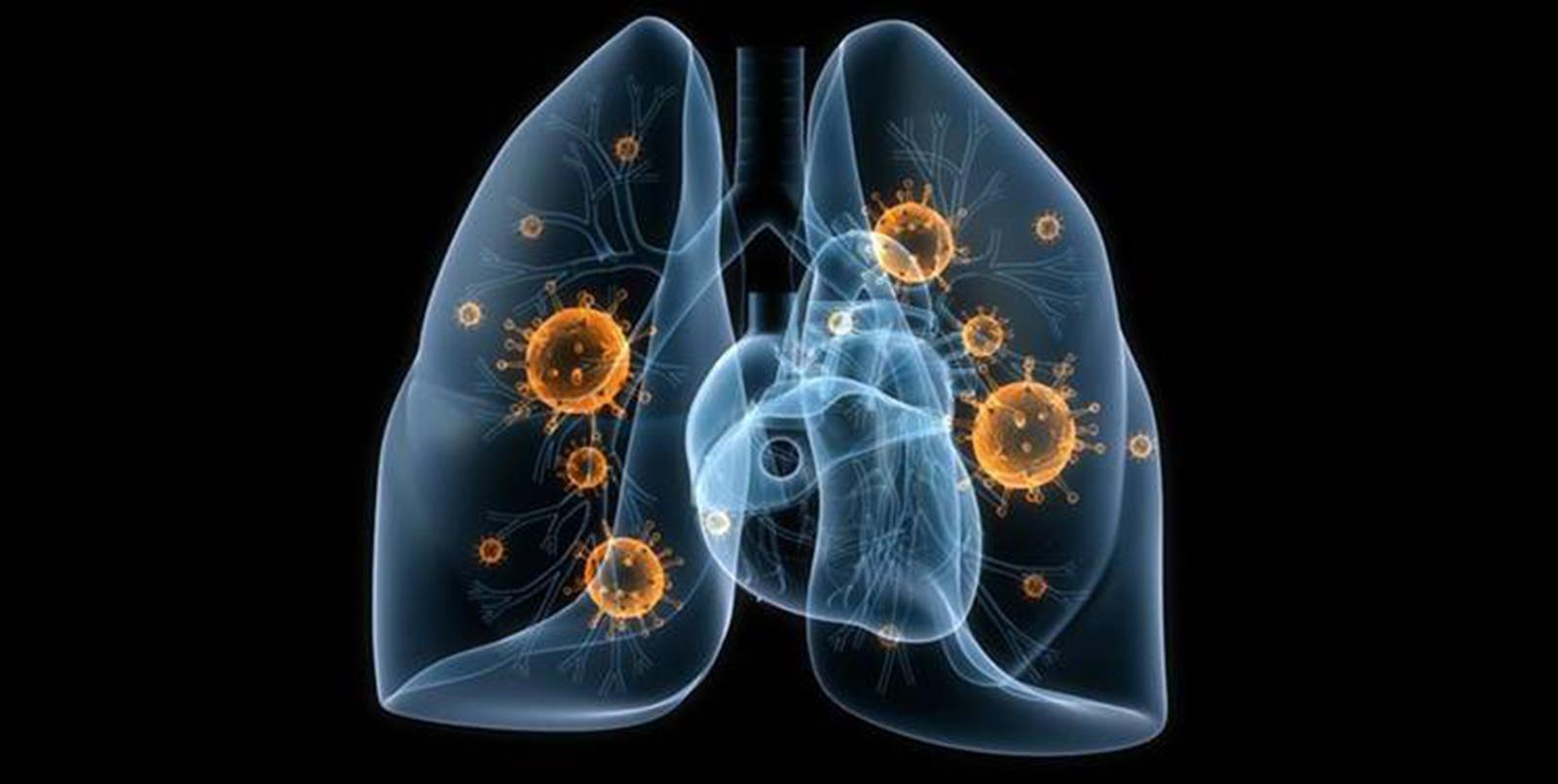 pneumonia)是人类支原体肺炎的病原体.