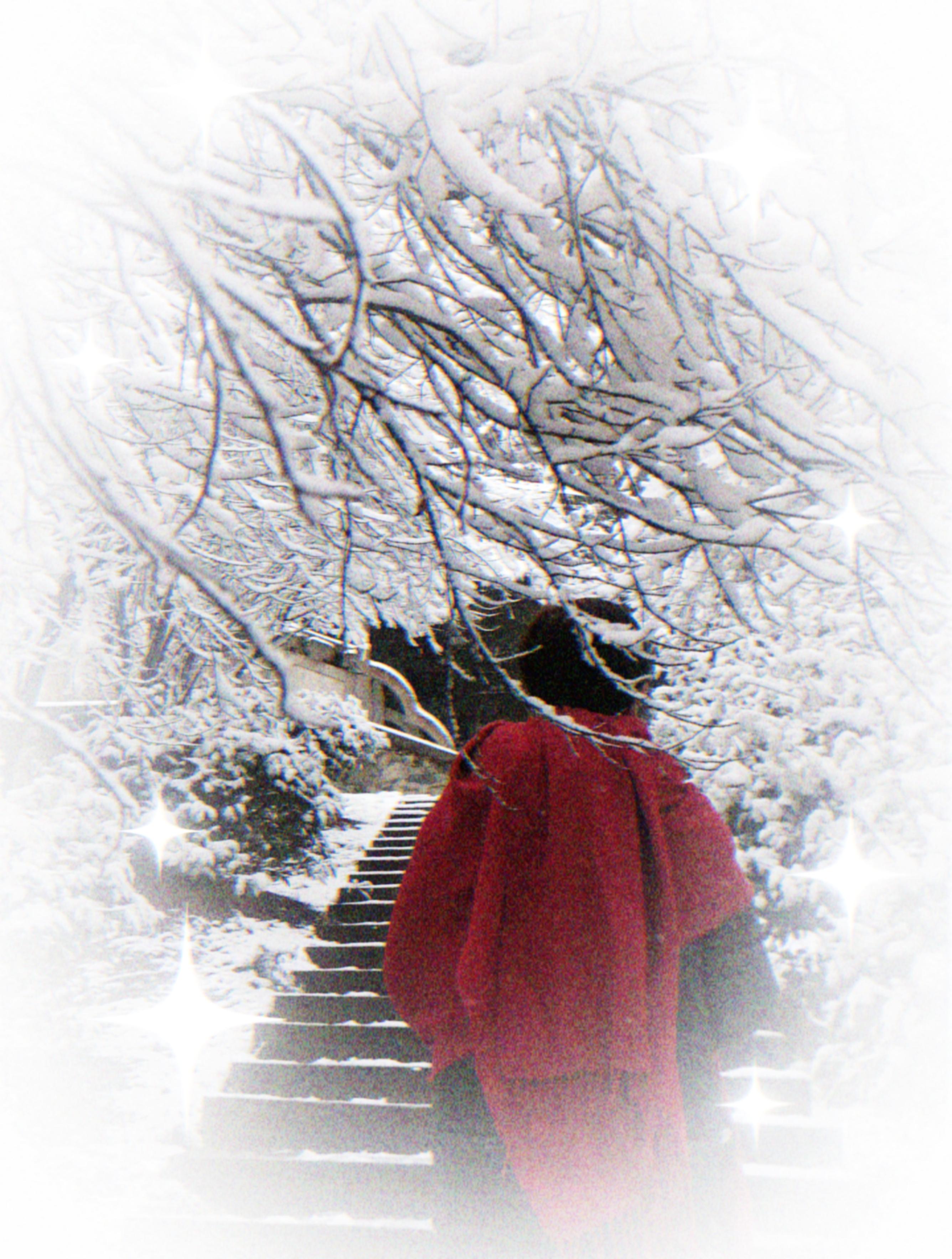 弱水与瓢 的想法: 孤独 | <a class="hash_tag" href="